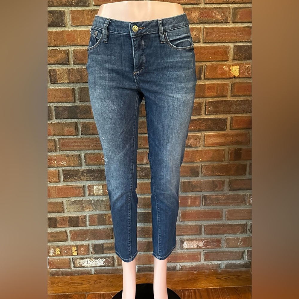 Christopher Blue Size 6 Mid-Rise Slim Ankle Jeans